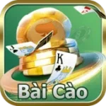 bài cào